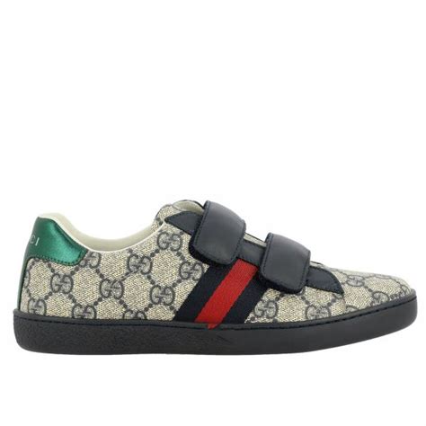 blue gucci strap sneakers|Gucci sneakers in rands.